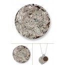 Roca gris tamaño mediano